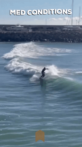 Surf Surfing GIF by RSPro