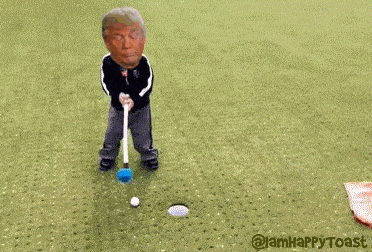 Trump Tantrum GIFs - Get the best GIF on GIPHY