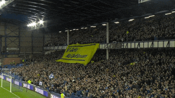 Fans Utt GIF by Everton Football Club