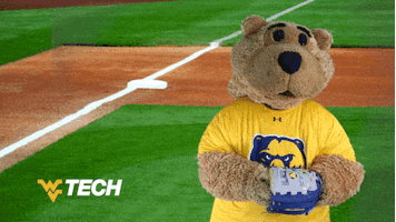 West Virginia College GIF by WVU Tech Golden Bears