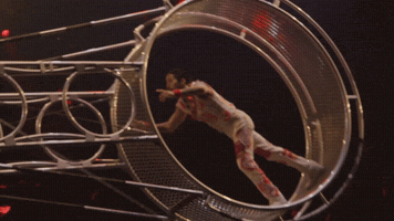 GIF by Ringling Bros. and Barnum & Bailey