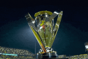 Mls Cup Shine GIF by Major League Soccer
