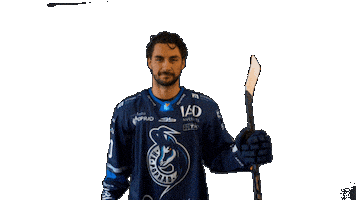 Poprad Hockey Sticker by HK Poprad