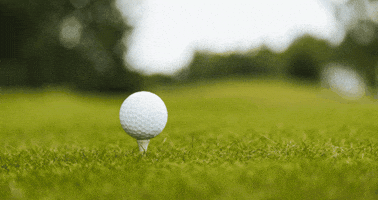 Digital Fairways GIF