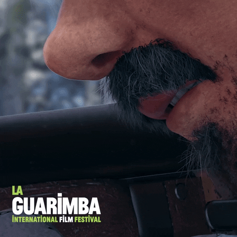 Happy Smirk GIF by La Guarimba Film Festival