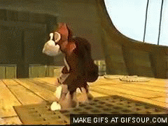 donkey
