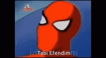 Spider GIF