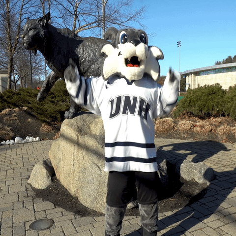 happy new hampshire GIF by University of New Hampshire