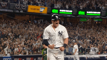 Voit New York Yankees GIF by MLB