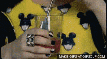 paparazzi gif rabbit paparazzi gif rabbit