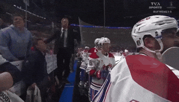Go Habs Go GIF