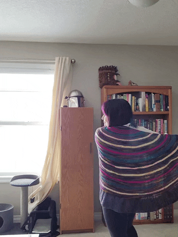 Animated GIF