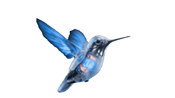 Videira Digital Sticker