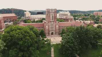 Utk GIF by University of Tennessee, Knoxville Alumni
