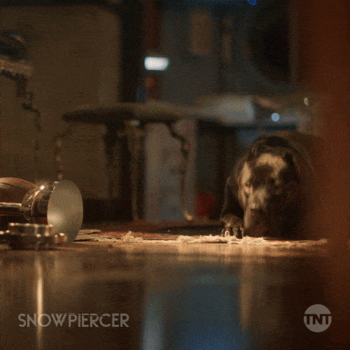 Rowan Blanchard Dog GIF by Snowpiercer on TNT