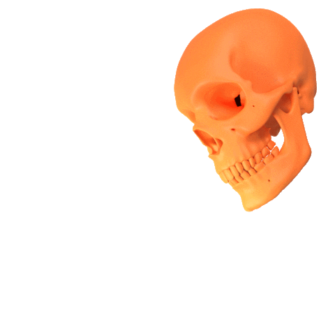 Elsevier Sticker