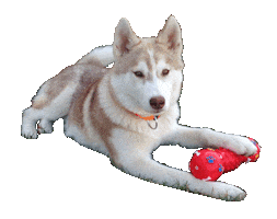 Sticker by Appartements_Andy