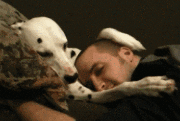 Friendship Hug GIF by The BarkPost - Find & Share on GIPHY