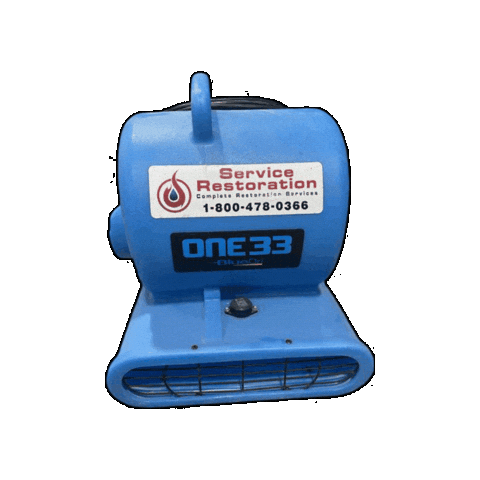 Waterdamage Sticker by Service Restoration