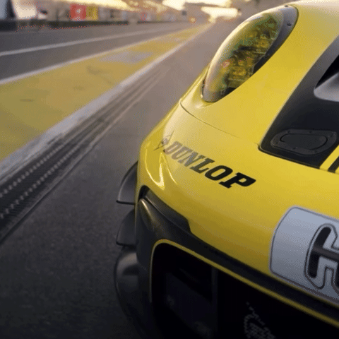 Dunlop Tire NA GIF