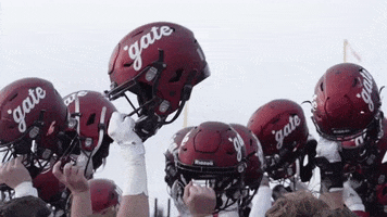 Football Win GIF by Colgate Athletics