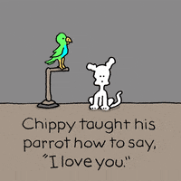 Love You More Gifs Get The Best Gif On Giphy Love You More Gifs Get The Best Gif On Giphy