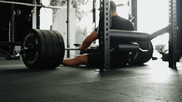Fitness Thrusting GIF by AlphaFit