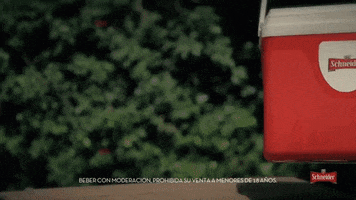 Ad gif. A red cooler is placed on a table and then something lifts the lid off to reveal cans of Scheider beer cans and ice. 