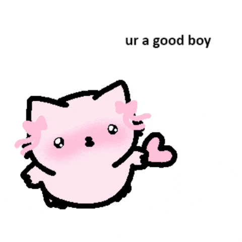 Cat Love GIF by sillynub