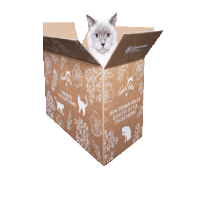 Cat Unboxing Sticker by Terra Felis