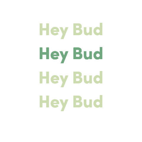 Hey Bud Skincare Sticker