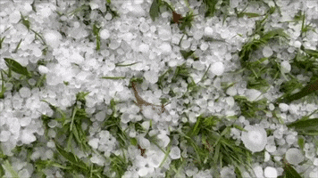 Golf Storm GIF by Storyful