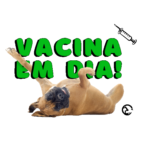 Cachorro Sticker
