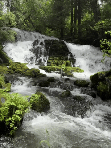 Oregon Waterfall GIF
