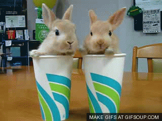 Giphy - twin GIF