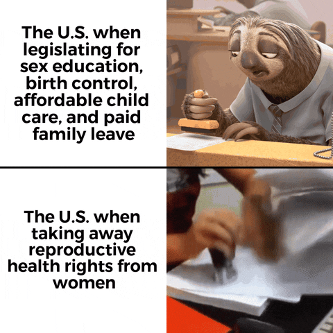 Meme gif. Two gifs. First gif: Animated cartoon sloth wearing a polo shirt sits at a desk and stamps a piece of paper, moving the stamp painfully slowly. Text, "The US when legislating for sex education, birth control, affordable child care, and paid family leave." Second gif: Woman sitting at a desk stamps multiple pieces of paper at the speed of light. Text, "The US when taking away reproductive health rights from women."