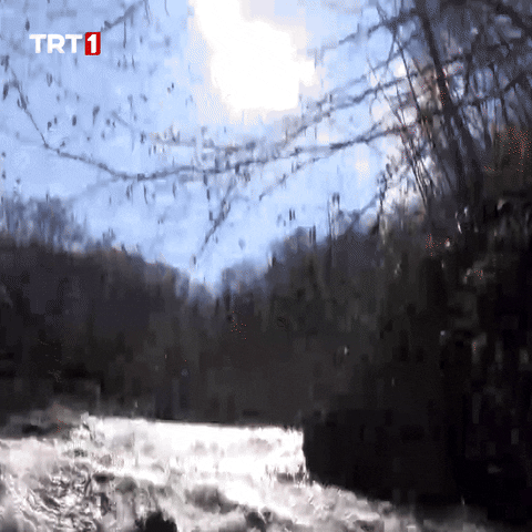 Water Swimming GIF by TRT
