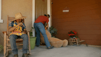 Bear Delivery GIF by CBS