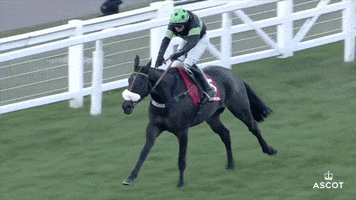 Horse Racing Run GIF by Ascot Racecourse
