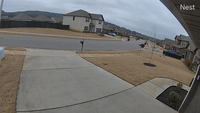 Home Security Footage Captures Moment Helicopter Falls From Sky in Northern Alabama