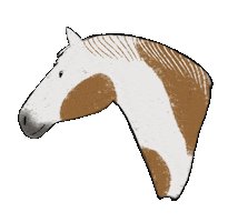 Horse Paint Sticker by winterlichtmalerei