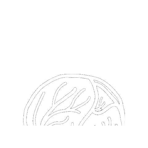 Jong Groen Antwerpen Sticker