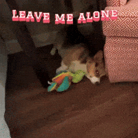 Leave Me Alone GIF