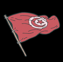 Flag Tunisia GIF