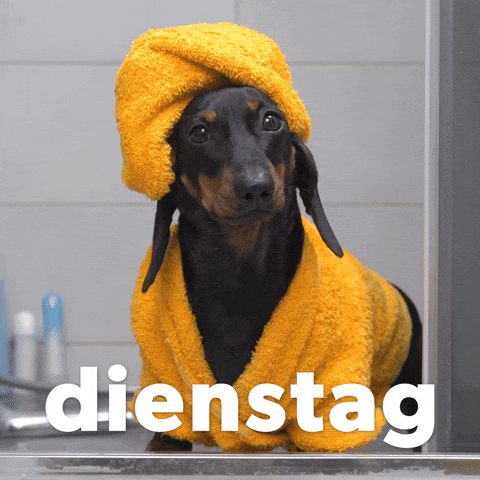 German Dienstag GIF by Sealed With A GIF