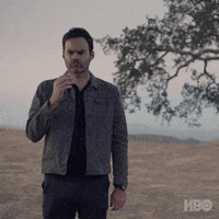 Confused Bill Hader GIF by HBO