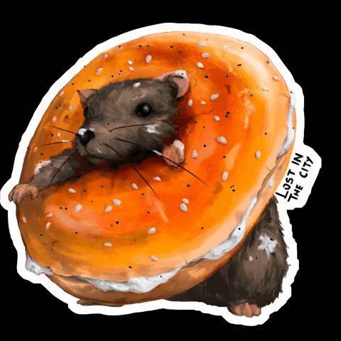 lostinthecity_ny new york city rat bagel lost in the city GIF