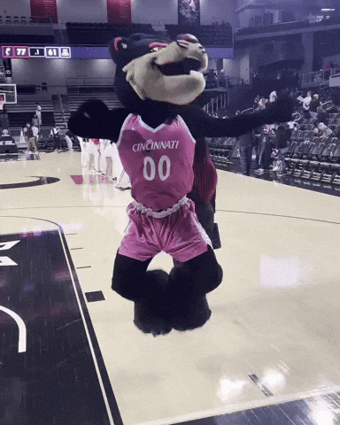 Dance Celebrate GIF by Bearcat