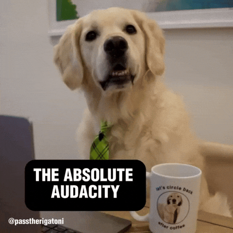 Working Work From Home GIF by Rigatoni