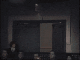 Snl GIF